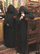 IMG4207