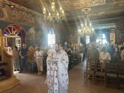 Viber2026-06-2111-23-29-449